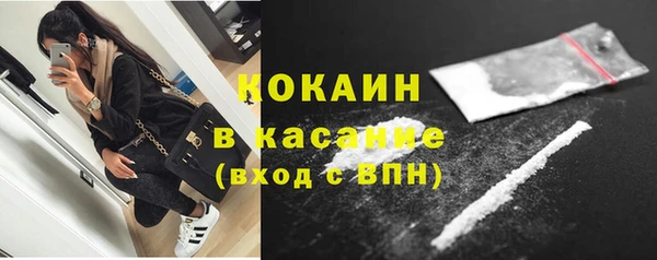 дживик Пересвет