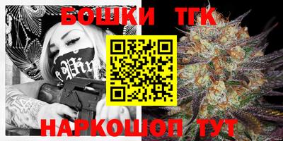 гидропоника Гусиноозёрск