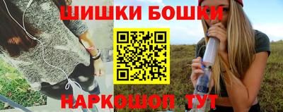 индика Гусев