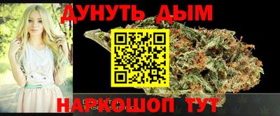 индика Гусев