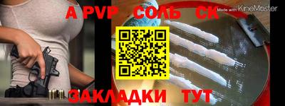 индика Гусев