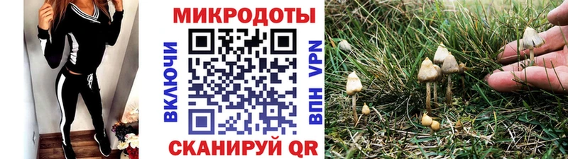 Псилоцибиновые грибы Psilocybe Зеленокумск