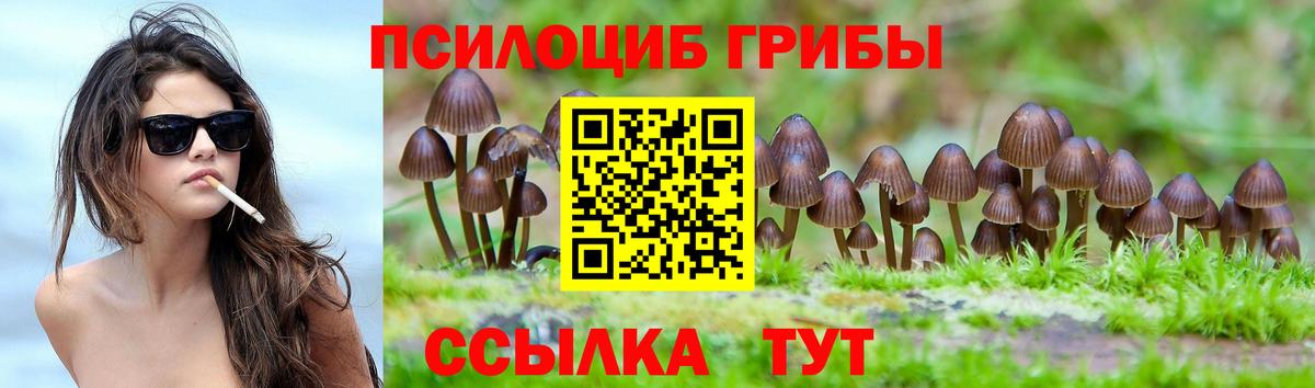 Зеленокумск  Псилоцибиновые грибы прущие грибы  как найти   Вход с VPN 