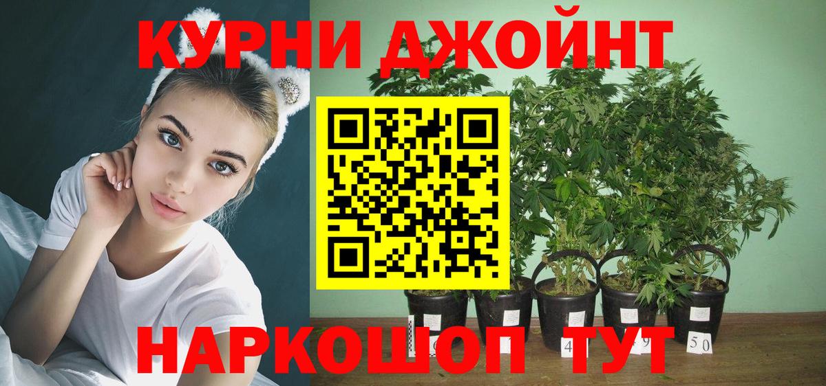 Канабис гибрид Зеленокумск